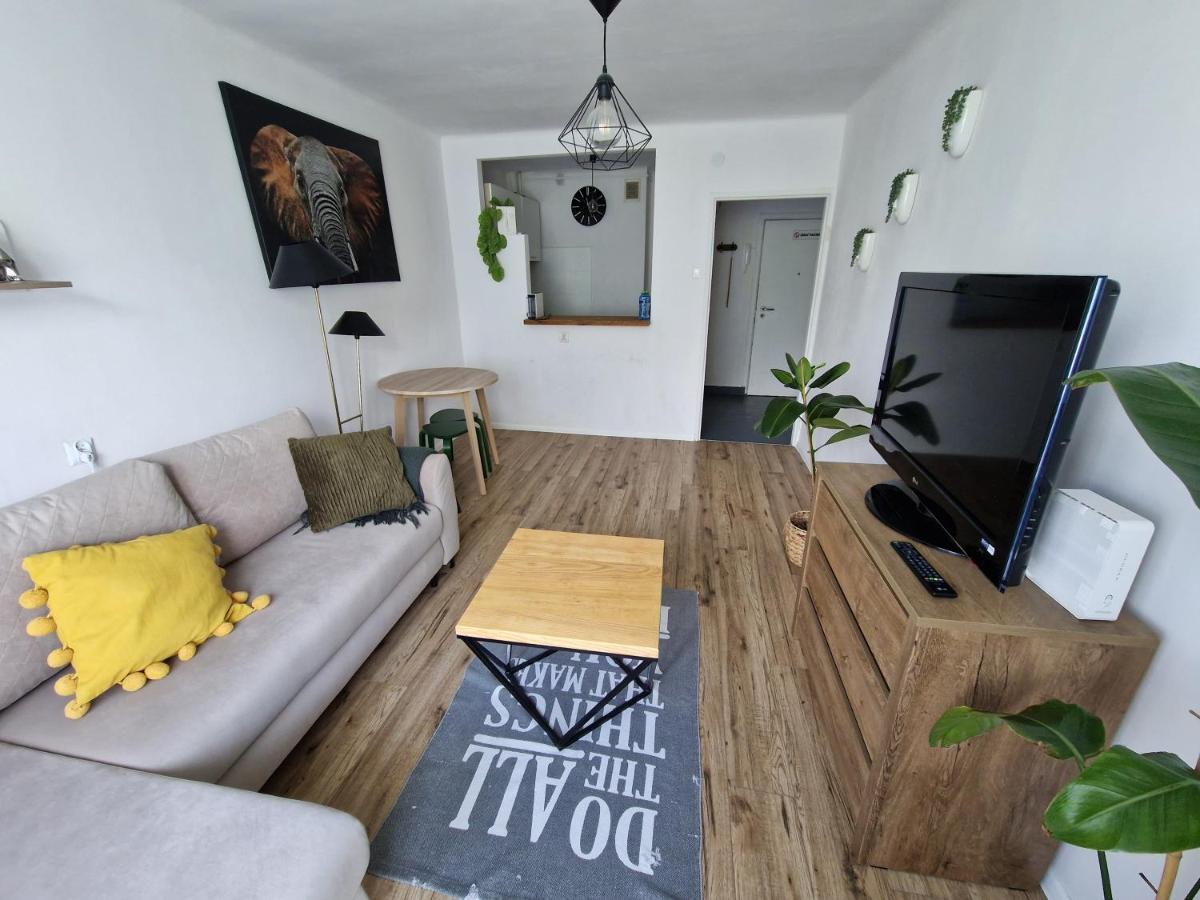 Apartament Sienkiewicza -
